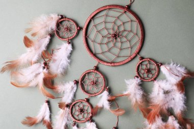 Gri arka planda güzel bir düş kapanı.