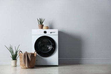 Çamaşır makinesi, ev bitkileri ve çamaşır sepeti kapalı alandaki gri duvarın yanında. Metin için boşluk