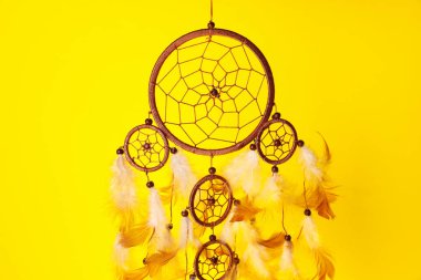 Sarı arka planda güzel bir düş kapanı, yakın plan.