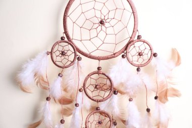 Açık gri arka planda güzel bir düş kapanı, yakın plan