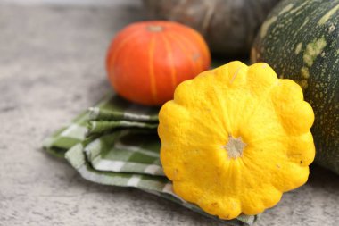 Açık gri desenli masada taze kabak ve balkabağı, metin için yeri olan yakın plan. Su kabağı ailesi