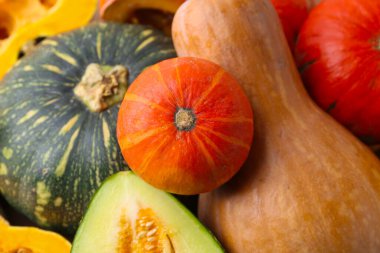 Arka plan olarak pek çok taze balkabağı ve kavun, yakın plan. Su kabağı ailesi