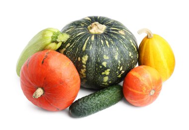 Birçok taze balkabağı ve kabak familyasının diğer sebzeleri beyazlar üzerinde izole edilmiş.