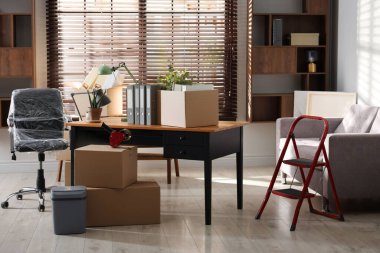 Yeni ofiste birçok taşınan kutu, ev bitkisi, merdiven ve mobilya