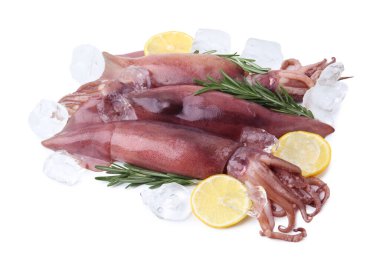 Raw squids, ice cubes, rosemary and lemon slices isolated on white
