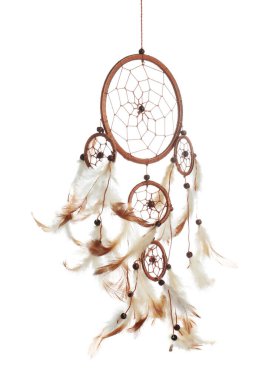 Güzel bir düş kapanı beyazda izole edilmiş.