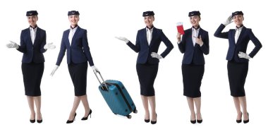 Beyaz arka planda üniformalı hostes, portre koleksiyonu.