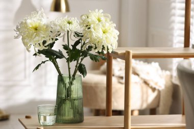 Güzel beyaz kasımpatı çiçekleri vazoda, ahşap rafta.