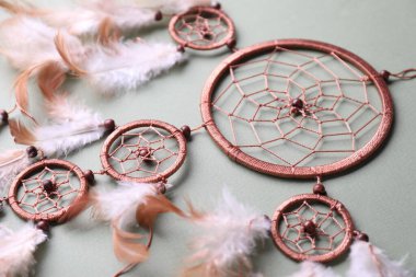 Gri arka planda güzel bir düş kapanı, yakın plan