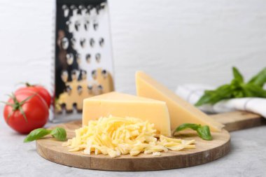 Öğütücü, domates, fesleğen, rendelenmiş peynir parçaları ışık masasında, yakın plan. Metin için boşluk