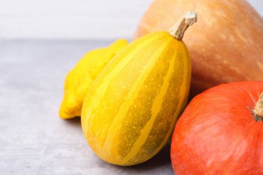 Açık gri desenli masada taze balkabakları ve pattypan kabağı, metin için yeri olan yakın plan. Su kabağı ailesi