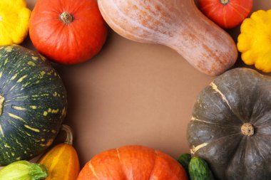 Taze balkabağı çerçevesi ve bej arka planda kabak familyasından diğer sebzeler, düz uzanış. Metin için boşluk