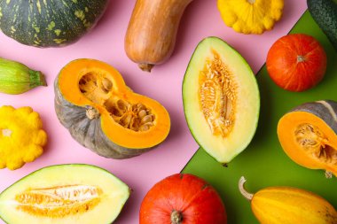 Birçok taze balkabağı ve diğer kabak rengi arka planda, düz yatıyordu