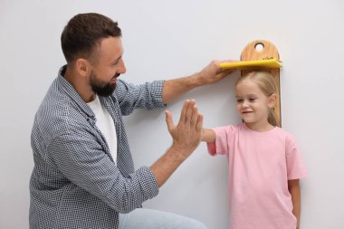 Babası küçük kızının boyunu ölçüyor. Kapalı alandaki ışık duvarının yanında.
