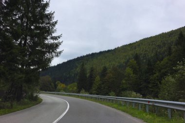 Dağlardaki yeşil ağaçların ve asfalt yolların güzel manzarası