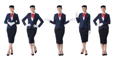 Beyaz arka planda üniformalı hostes, portre koleksiyonu.