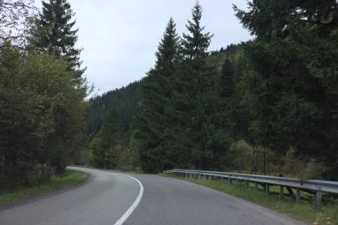 Dağlardaki yeşil ağaçların ve asfalt yolların güzel manzarası