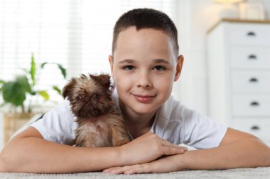 Evdeki sevimli Griffon köpekli çocuk. Evcil hayvan