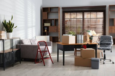 Yeni ofiste birçok taşınan kutu, ev bitkisi, merdiven ve mobilya