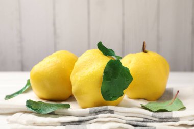 Beyaz masada yaprakları olan taze ayva yavruları, yakın plan.