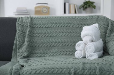 İçerideki kanepede havluyla yapılmış şirin bir ayı. Metin için boşluk