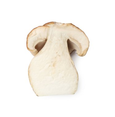 Taze porcini mantarı kes, beyaza izole edilmiş, üst manzara.