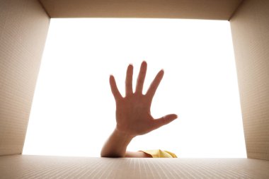 Karton kutuya uzanan kadın beyaz arka planda, yakın plan. İçeriden görüntüle