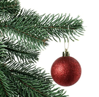 Beyaz süslemeli Noel ağacı dalı