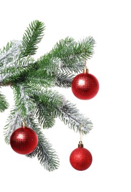 Beyaz süslemeli Noel ağacı dalı