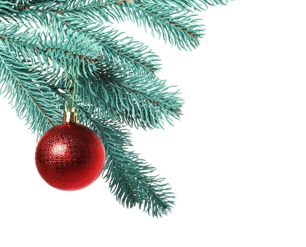 Beyaz süslemeli Noel ağacı dalı