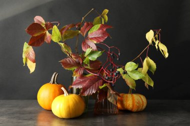 Sonbahar atmosferi. Gri masadaki güzel yapraklı vazolar, böğürtlenler ve balkabakları