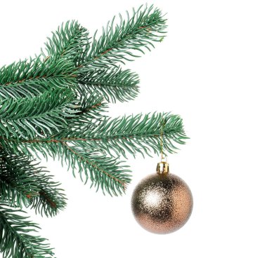 Beyaz süslemeli Noel ağacı dalı