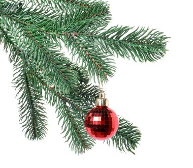 Beyaz süslemeli Noel ağacı dalı