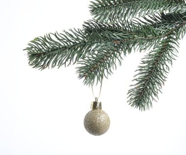Beyaz arka planda dekoratif topu olan Noel ağacı dalı