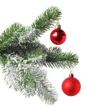 Beyaz süslemeli Noel ağacı dalı