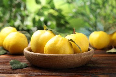 Tahta masada taze olgun ayva, yakın plan.