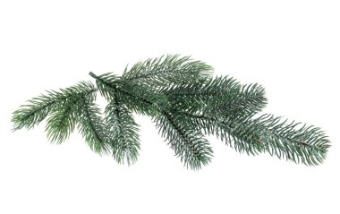 Beyaza izole edilmiş yapay köknar ağacı dalları. Noel dekoru