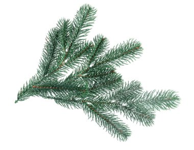 Beyaza izole edilmiş yapay köknar ağacı dalları. Noel dekoru