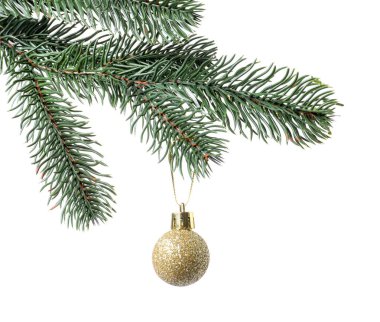 Beyaz süslemeli Noel ağacı dalı