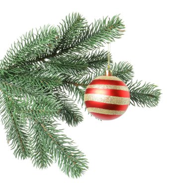 Beyaz süslemeli Noel ağacı dalı