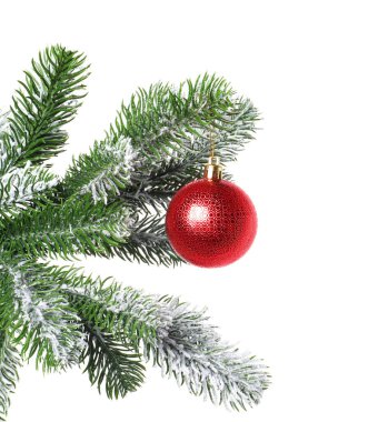 Beyaz süslemeli Noel ağacı dalı