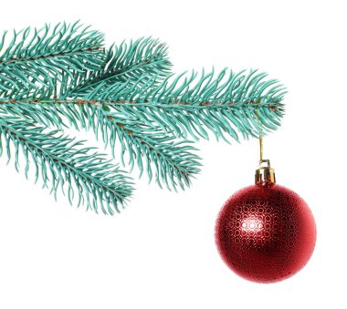 Beyaz süslemeli Noel ağacı dalı