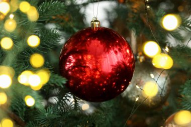 Köknar ağacının dalında asılı kırmızı takı, yakın plan. Bokeh etkisi