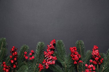 Köknar ağacı dalları ve siyah arka planda Noel dekoru olan düz bir kompozisyon. Metin için boşluk