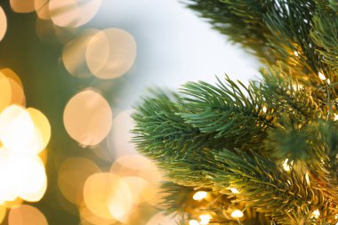 Şenlikli ışıkları olan güzel Noel ağacının dalları, yakın çekim ve metin için yer. Bokeh etkisi