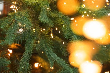 Güzel yılbaşı ağacının dalları, şenlikli ışıklar, yakın çekim. Bokeh etkisi