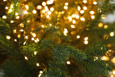 Güzel yılbaşı ağacının dalları, şenlikli ışıklar, yakın çekim. Bokeh etkisi