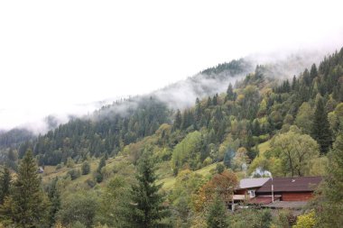 Bulutlu bir günde dağların, ormanın, binaların ve sislerin resimli görüntüsü