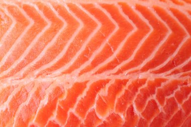 Arka plan olarak taze somon filetosu, yakın plan görünümü