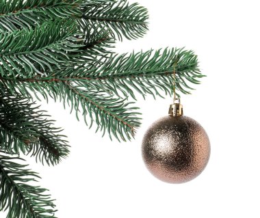 Beyaz süslemeli Noel ağacı dalı